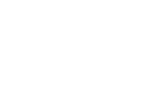Le Burger